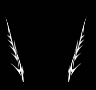 kap1.jpg (3213 bytes)